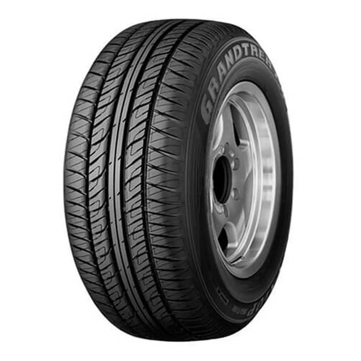 Dunlop Grandtek PT2