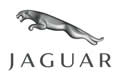 Jaguar Chip Potenciador